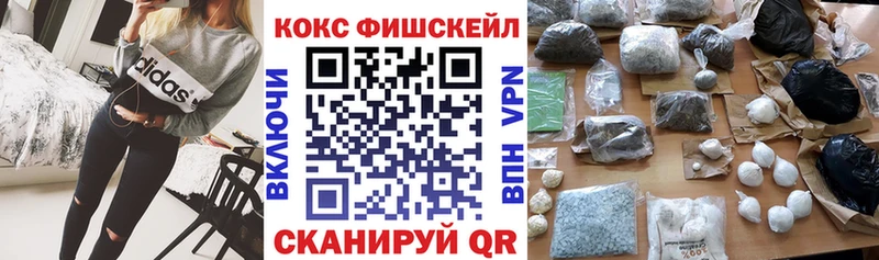 Купить закладки  Лесной  Cocaine 99% 