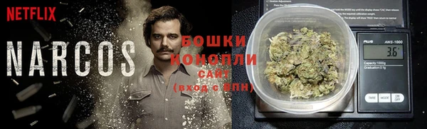 ПСИЛОЦИБИНОВЫЕ ГРИБЫ Белокуриха