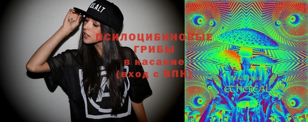 ПСИЛОЦИБИНОВЫЕ ГРИБЫ Белокуриха