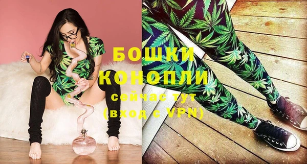 ПСИЛОЦИБИНОВЫЕ ГРИБЫ Белокуриха
